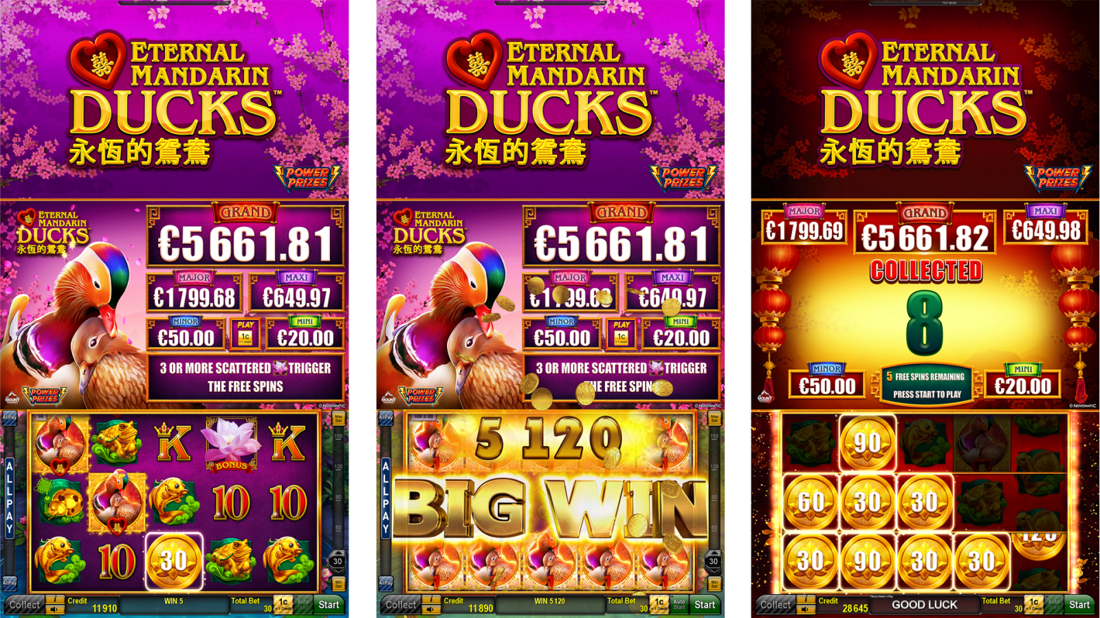 EternalMandarinDucks_Curved Collage